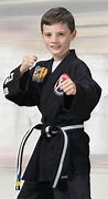 Image result for Black Belt Martial Arts