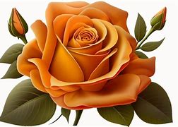 Image result for Rose Line Art