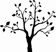 Image result for Tree Branch with Leaves