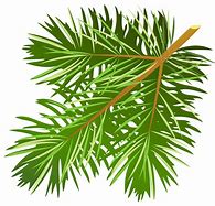 Image result for Leaf Branch Clip Art