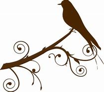 Image result for Bird On Branch Graphic