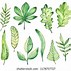 Image result for Tropical Leaves Drawing Outline Vectors