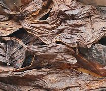 Image result for 7 Leaf Tobacco Liquid