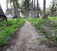 Image result for Foot Path Frontage