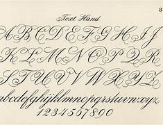 Image result for Cursive Typography