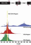 Image result for Solid Tumor DNA Sequencing