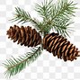 Image result for Pine Cone Stencil