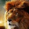 Image result for lion expressions