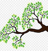 Image result for Tree Branch Cartoon Image