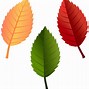 Image result for Graphic Fairy Free Printable Leaves