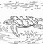 Image result for Nemo Sea Turtle Coloring Pages