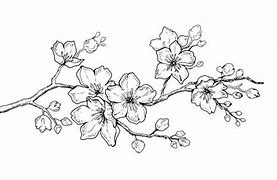 Image result for Cherry Blossom Tree Branch