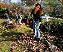 Image result for Raking Leaves 100 Years Ago