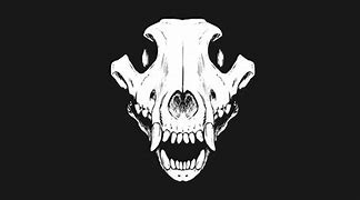 Image result for Wolf Skull Wallpaper