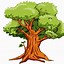 Image result for Oak Tree Drawing Free Download