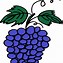 Image result for Grapes Clip Art Free Download