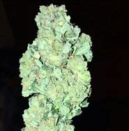 Image result for Cotton Candy Kush