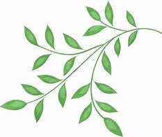 Image result for Leaf Branch Clip Art