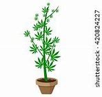 Image result for Black Marijuana Leaf Clip Art