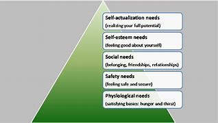 Image result for Maslow Bio