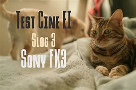 Image result for Cine Ei Vs. ISO