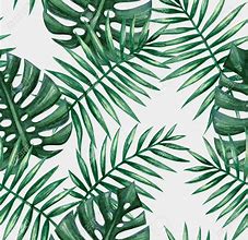 Image result for Tropical Leaf Wallpaper for Walls