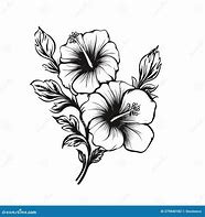 Image result for Black Hibiscus Flower