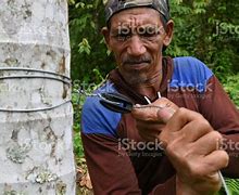 Image result for Recycled Plastic Fence Posts