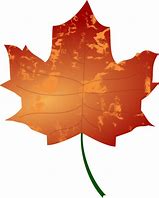 Image result for Leaves Vector Free