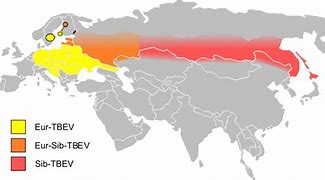 Image result for Facebook Usage Among Key Demographics