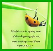 Image result for mindfulness quotes for teachers