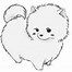 Image result for Pomeranian Dog Coloring Pages