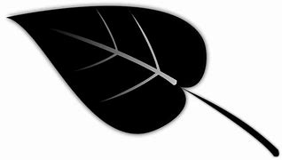 Image result for Simple Leaf Silhouette