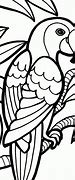 Image result for Coloring Page of Branch