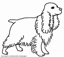 Image result for Cocker Spaniel Dog Coloring Pages