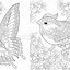 Image result for Coloring Picture of Leaf