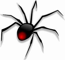 Image result for A Cartoon Spider