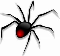 Image result for Spider Graphic