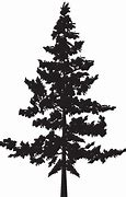 Image result for Pine Tree Black and White