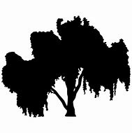 Image result for Willow Tree Silhouette