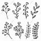 Image result for Leaf and Flower Pailsey Pattern Stencil