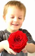 Image result for Maroon Roses Artificial