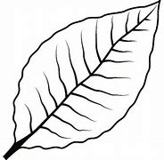 Image result for Tobacco Leaf Silhouette