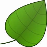 Image result for Leaf for Kids