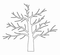 Image result for Tree Branch Template