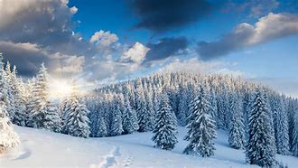 Image result for Winter Forest Desktop Background