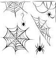 Image result for DIY Halloween Spider