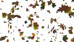 Image result for Falling Leaf Pattern