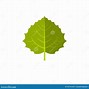 Image result for Aspen Leaf Silhouette