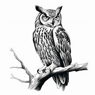 Image result for Owl in a Branch Vector